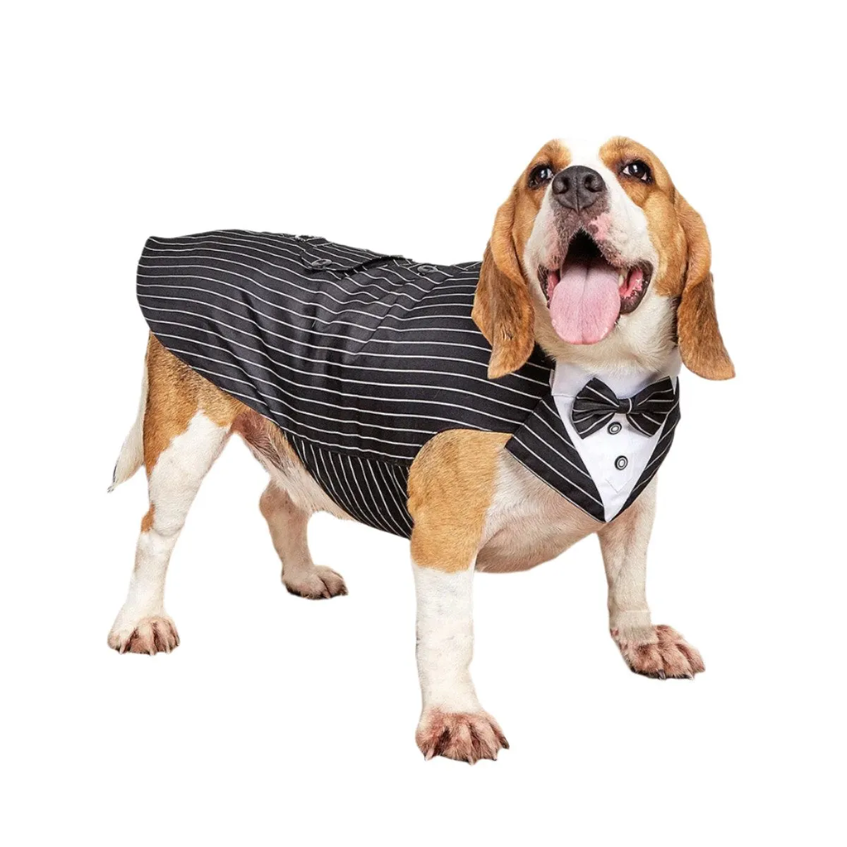 Dog Pet Clothing