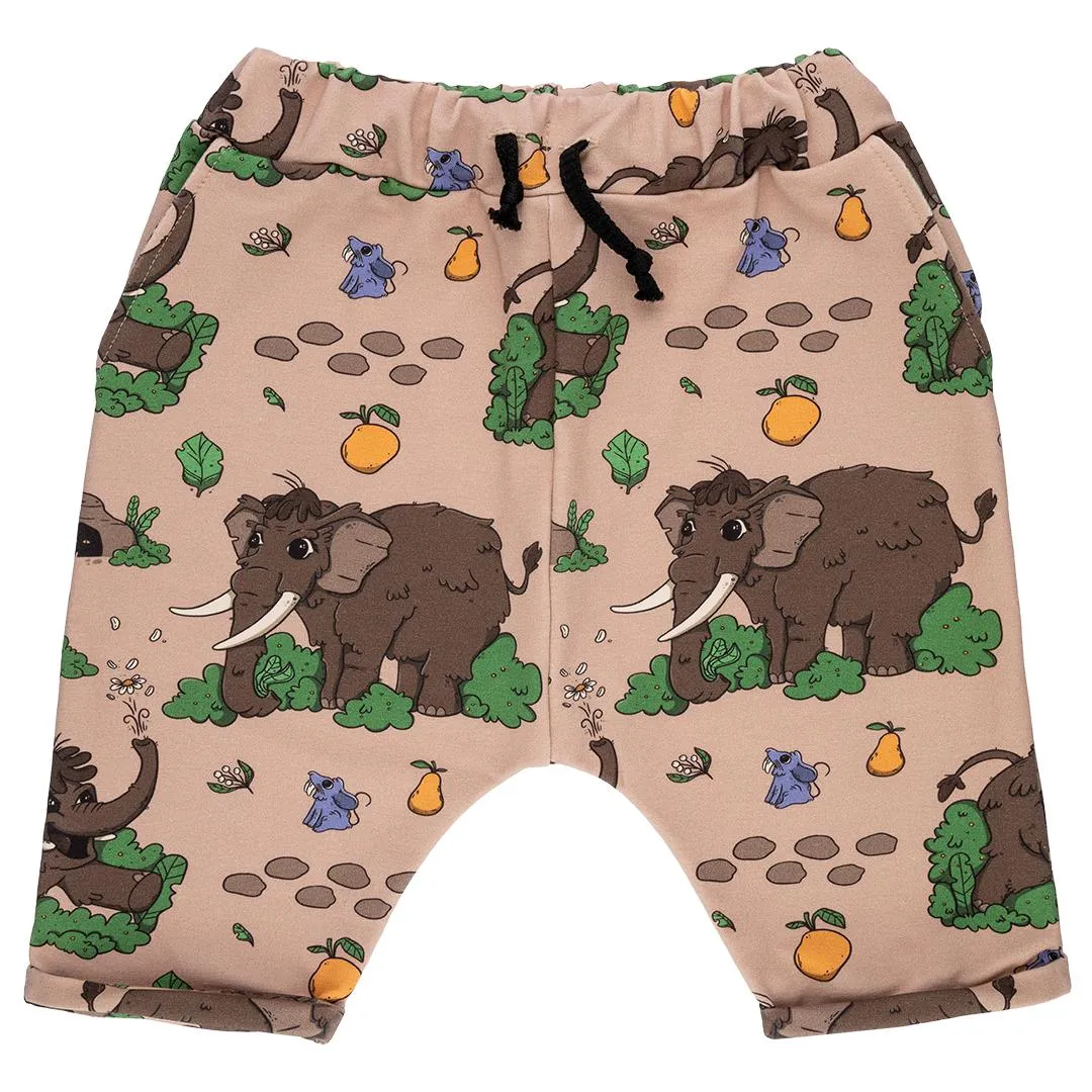 Wooly Mammoth Sweat Shorts - 1 Left Size 2-3 years